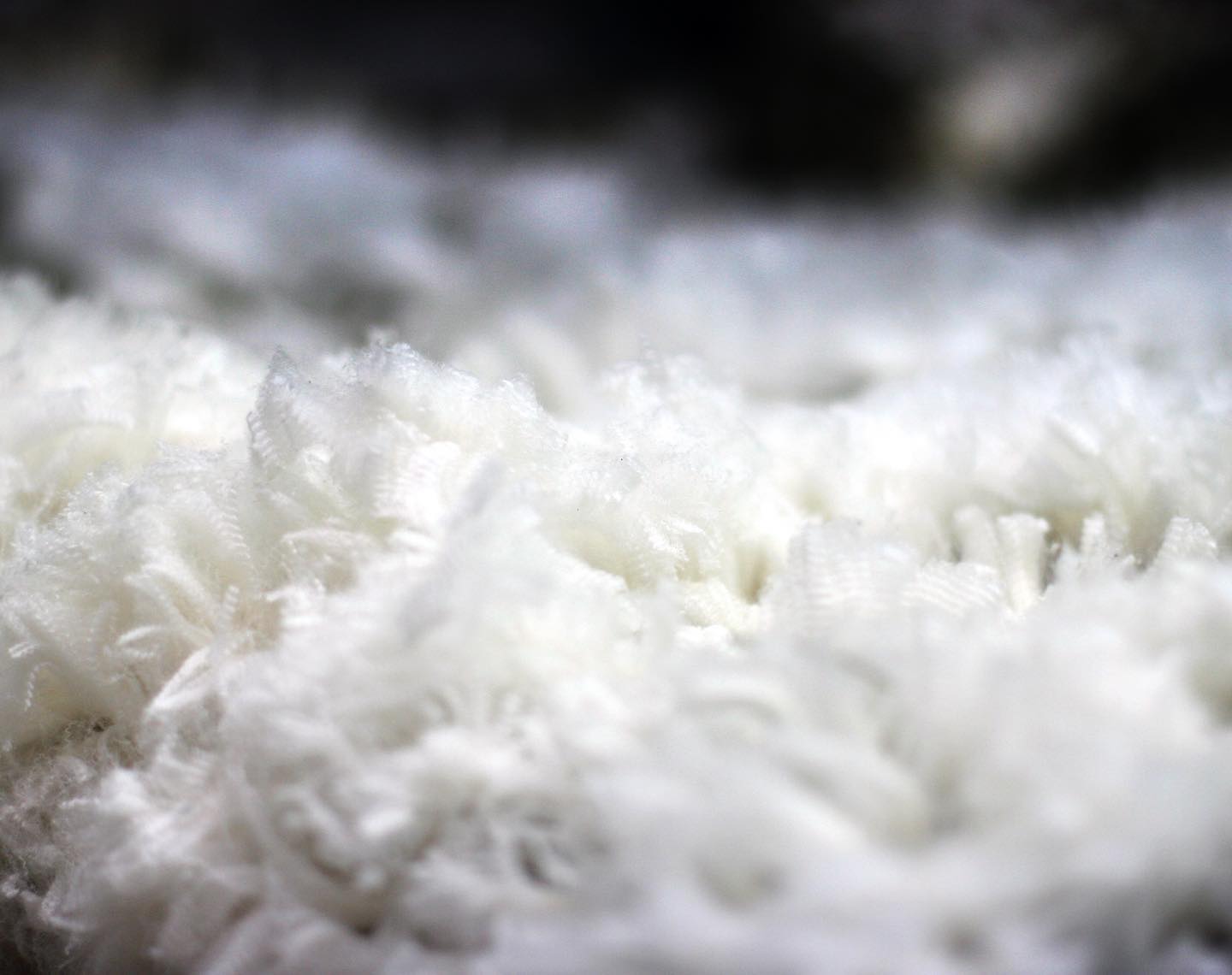 Why Armadillo Woolery Uses Merino Wool — And Why It’s Better for You